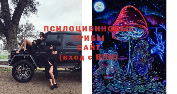 гидропоника Аркадак