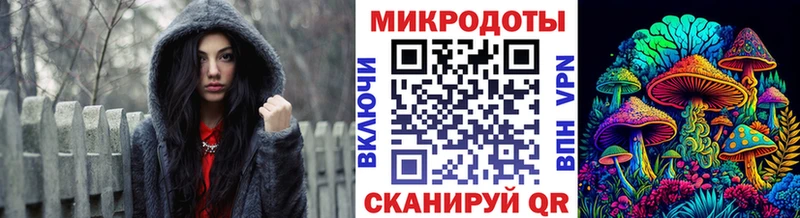 Псилоцибиновые грибы Psilocybe  Купить  Новодвинск 